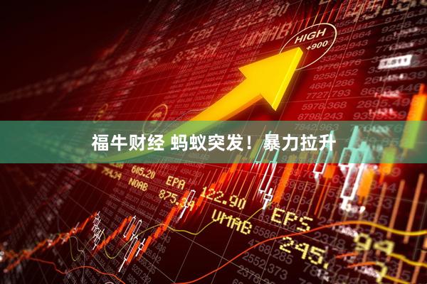福牛财经 蚂蚁突发！暴力拉升