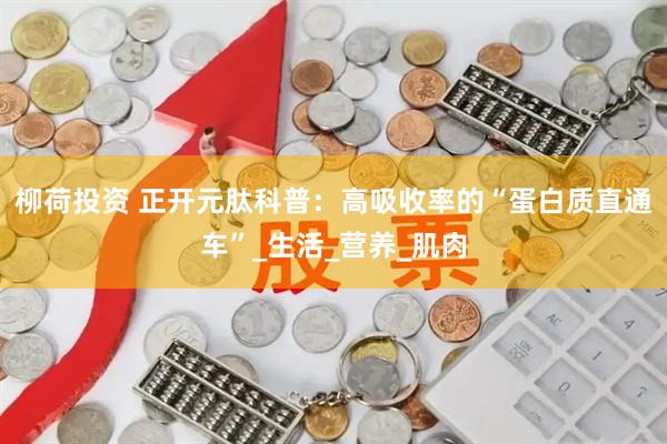 柳荷投资 正开元肽科普：高吸收率的“蛋白质直通车”_生活_营养_肌肉