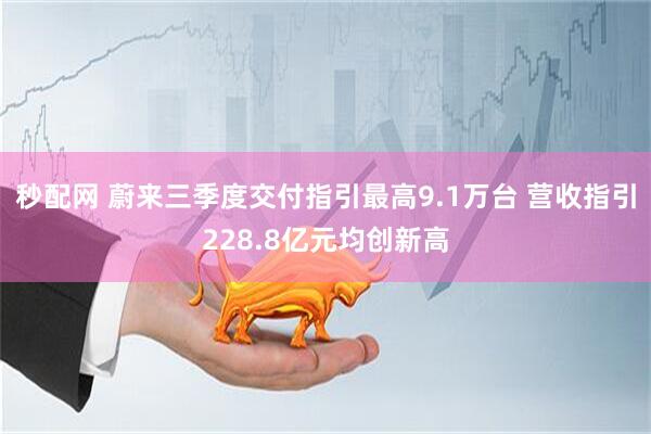 秒配网 蔚来三季度交付指引最高9.1万台 营收指引228.8亿元均创新高